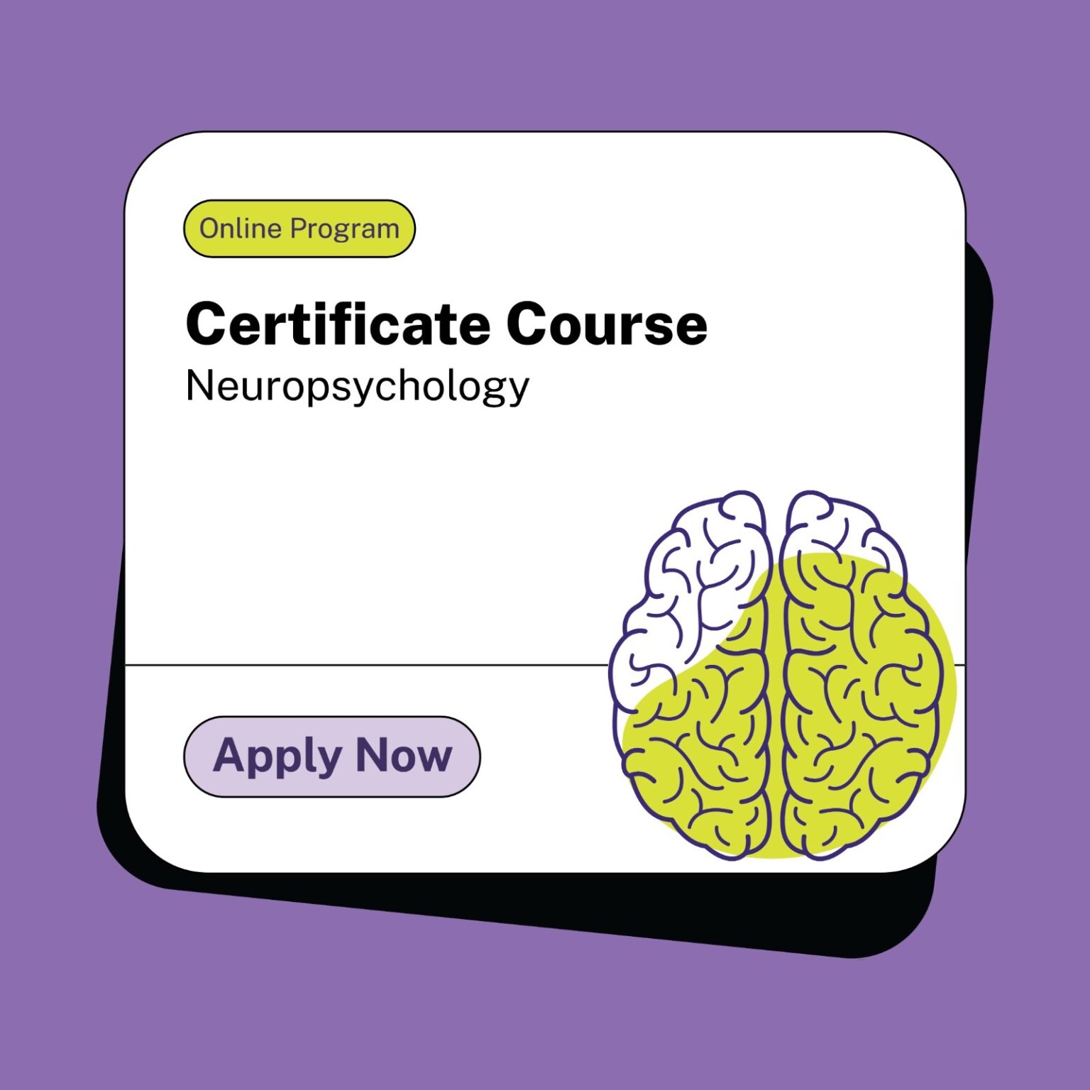 Certificate Course in Neuropsychology Cognizavest