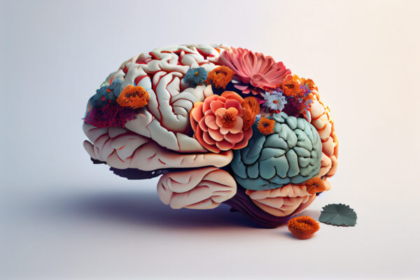 Diploma in Neuropsychology