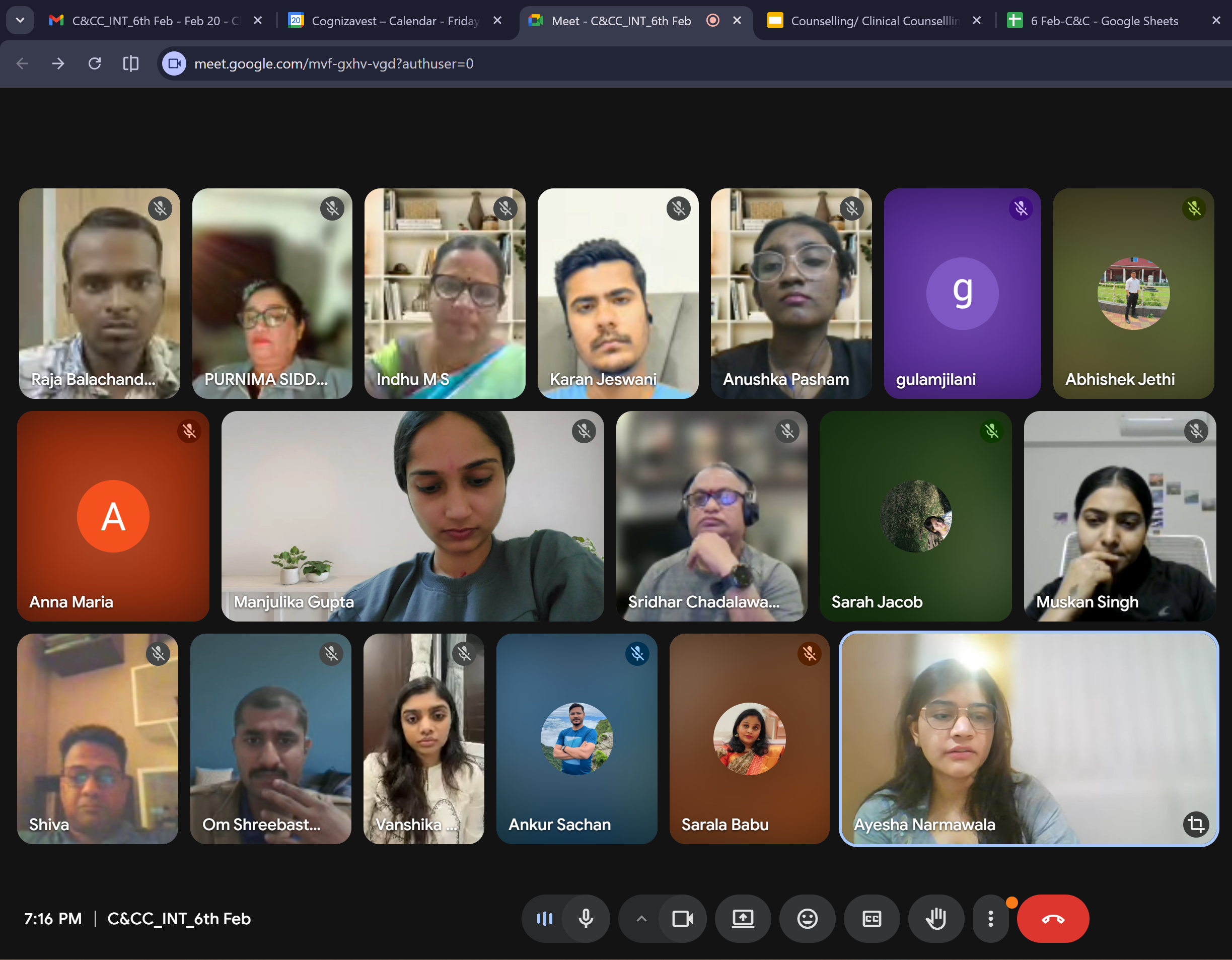 Clinical and counseling psychology online training preview